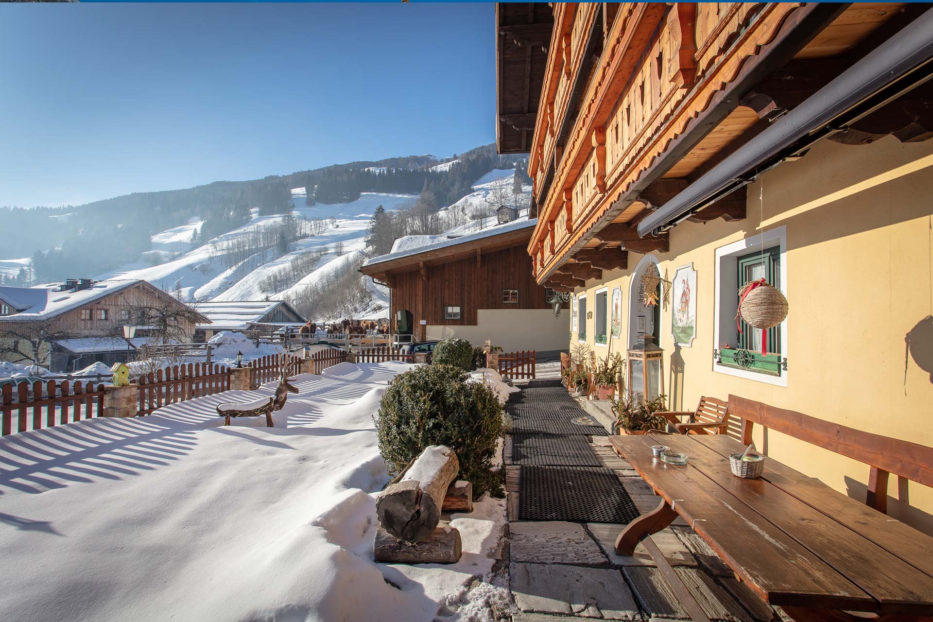 Bauernhof Dorfgastein Winterurlaub 9114